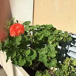 Junto Playa, Gemelos 23 Con 2 Banos Excelente Opcion *