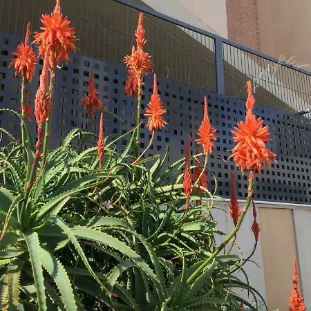 Junto Playa, Gemelos 23 Con 2 Banos Excelente Opcion Apartman *